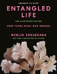 [cover image]