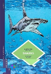 [cover image]