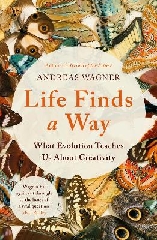 [cover image]