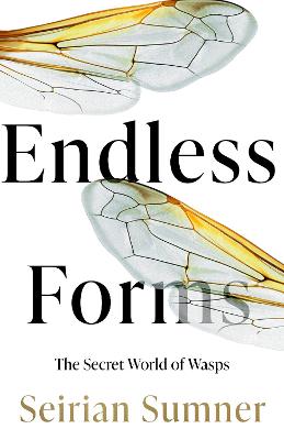 [cover image]