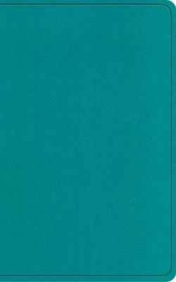 [cover image]