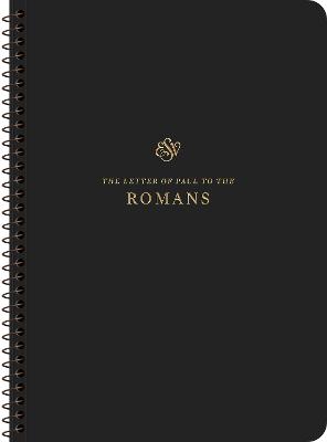 [cover image]