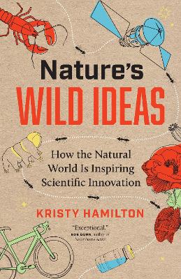 [cover image]