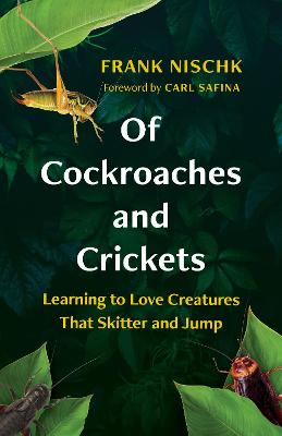 [cover image]