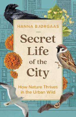 [cover image]