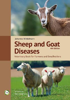 [cover image]
