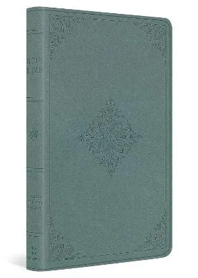 ESV Value Thinline Bible (TruTone, Paris Sky, Fleur-de-lis Design) by Esv Bibles