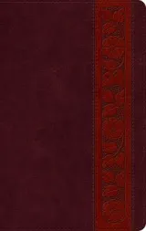 ESV Large Print Personal Size Bible by 