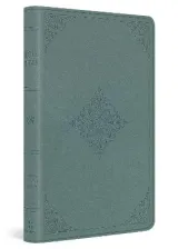 ESV Value Thinline Bible (TruTone, Paris Sky, Fleur-de-lis Design) by Esv Bibles
