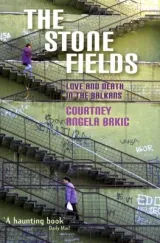 The Stone Fields by Courtney Brkic