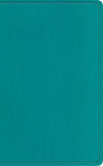 [cover image]