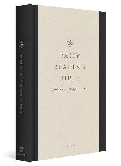 [cover image]