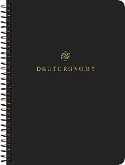 [cover image]