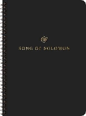 [cover image]