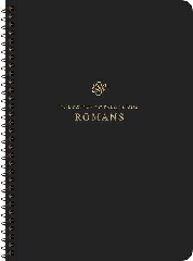 [cover image]