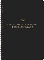 [cover image]