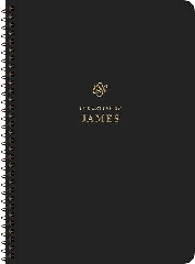 [cover image]