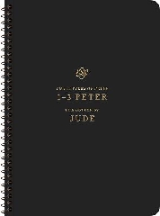 [cover image]