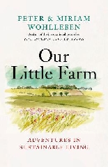 [cover image]