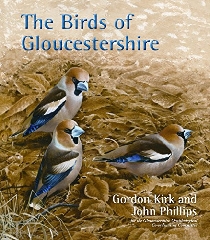 [cover image]