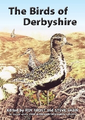 [cover image]
